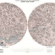 Illustration for article titled Lose Yourself in these Stunning Lunar Maps